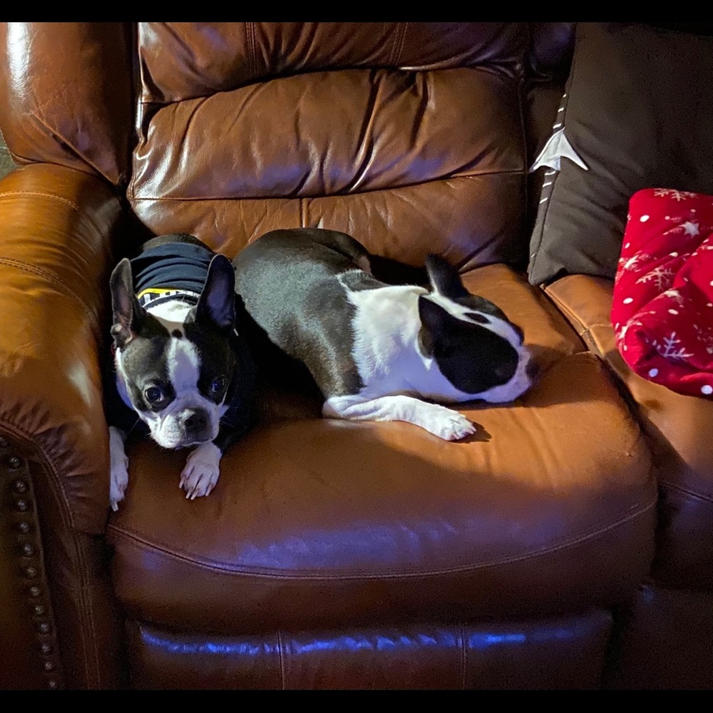 Meet your Posher, Tammy